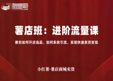 小红薯薯店商城卖货，进阶流量课，教你如何开店选品、如何系统引流，实现快速卖货变现-创安网_汇聚全网热门项目资源