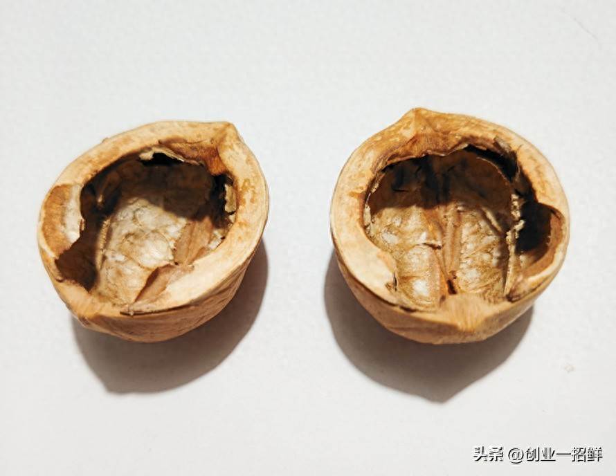 项目奇观：又发现一个，将核桃壳变废为宝的创业小妙招