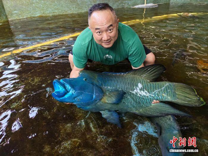 台商“老洪”跨越28年的创业心声：最大的机遇在海南自贸港