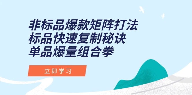 （15068期）非标品爆款矩阵打法，标品快速复制秘诀，单品爆量组合拳-创安网_汇聚全网热门项目资源