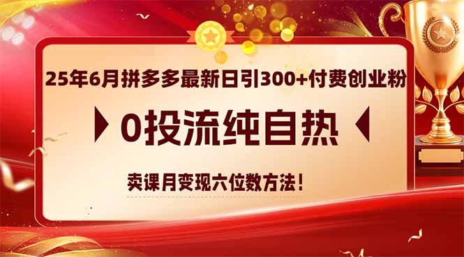 （14989期）25年6月拼多多最新日引300+付费创业粉，0投流纯自热 卖课月变现六位数方法-创安网_汇聚全网热门项目资源