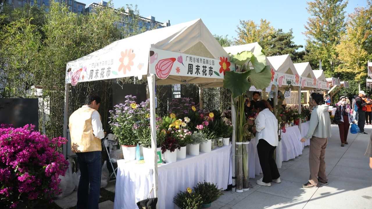 2025年金角银边城市微花园设计建造全国大赛落幕