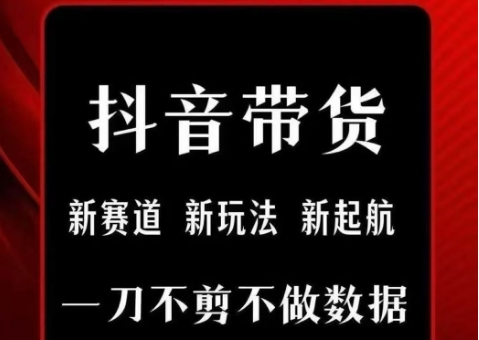 抖音短视频一刀不剪带货，不剪辑，不直播，每天发个视频，等着出单获取带货佣金-创安网_汇聚全网热门项目资源