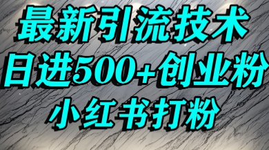 小红书精准引流创业粉，前辈求带孩子走投无路了，单人操作日引500+精准创业粉-创安网_汇聚全网热门项目资源