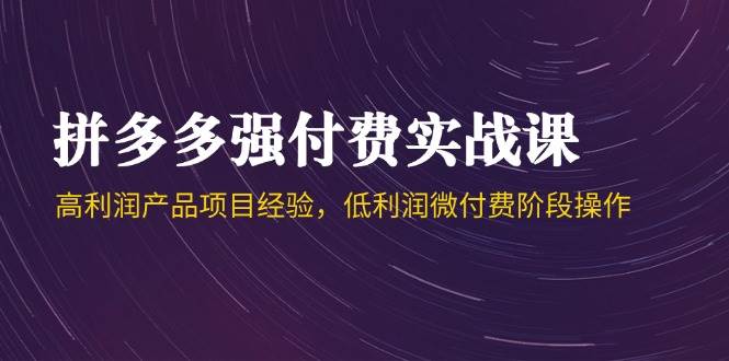 拼多多强付费实战课-44期，高利润产品项目经验，低利润微付费阶段操作-创安网_汇聚全网热门项目资源