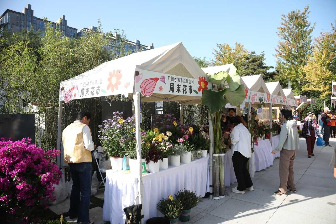 2025年金角银边城市微花园设计建造全国大赛落幕