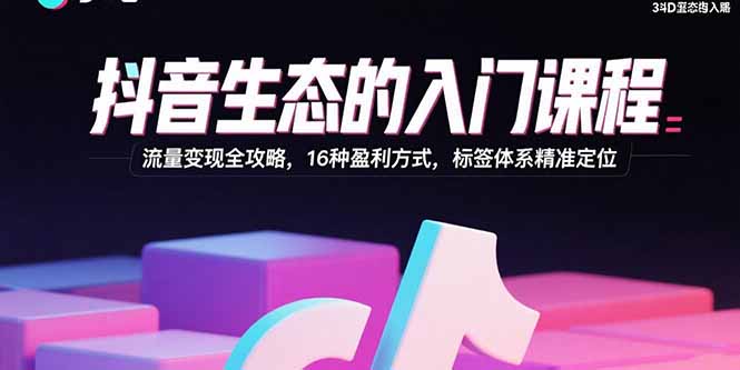 （15856期）抖音生态的入门课程：流量变现全攻略，16种盈利方式，标签体系精准定位-创安网_汇聚全网热门项目资源