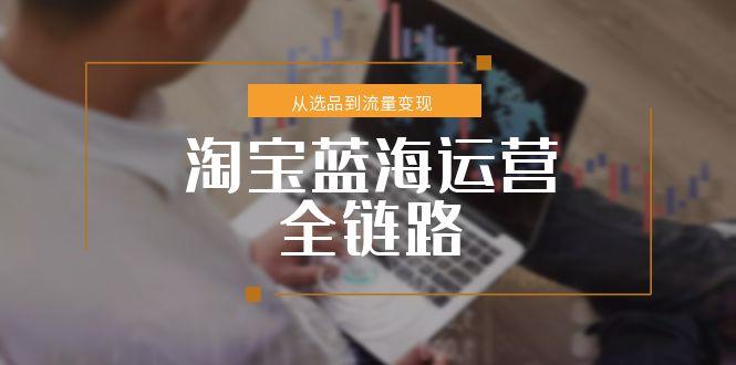 （15160期）淘宝蓝海运营全链路，从选品到流量变现，小类目突围完整方案-创安网_汇聚全网热门项目资源