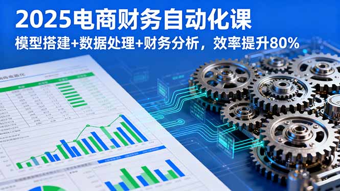 （16021期）2025电商财务自动化课，模型搭建+数据处理+财务分析，效率提升80%-创安网_汇聚全网热门项目资源
