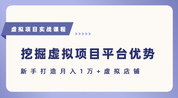 抓住虚拟项目各平台优势，新手轻松月入1W+(给出具体建议)-创安网_汇聚全网热门项目资源