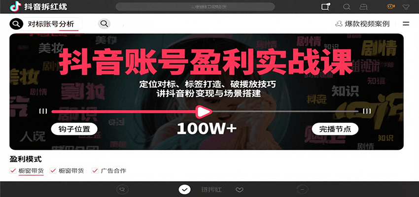 抖音账号盈利实战课，定位对标、标签打造、破播放技巧，讲涨粉变现与场景搭建-创安网_汇聚全网热门项目资源