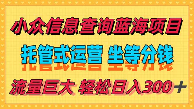 （15216期）稳定日入300＋，小众信息查询蓝海项目，全程懒人式托管，解放你的时间-创安网_汇聚全网热门项目资源
