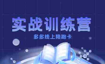 多多实战训练营，从0到1打造一个真正賺钱的店铺
