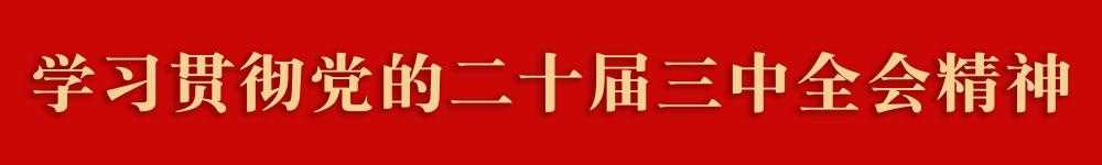 10个项目脱颖而出！英德创业创新版图再添亮眼成果