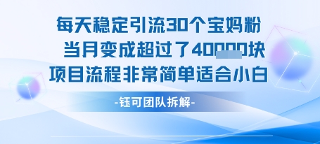 每天稳定引流30个人 当月变成超过了4个W项目流程非常简单适合小白-创安网_汇聚全网热门项目资源