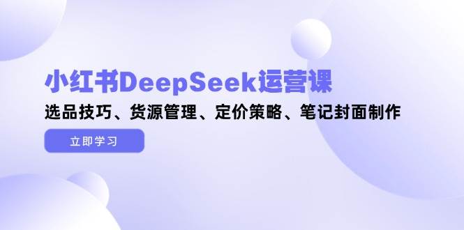 小红书DeepSeek运营课，选品技巧、货源管理、定价策略、笔记封面制作-创安网_汇聚全网热门项目资源