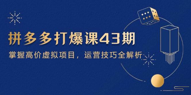 拼多多打爆课第 43 期，掌握高价虚拟项目，运营技巧全解析（15节）-创安网_汇聚全网热门项目资源