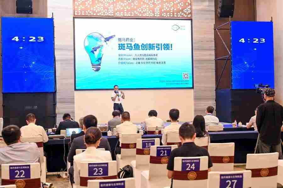 创业到湾区：双“三角循环”中的创新策源地