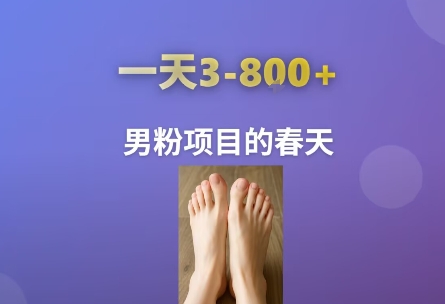 AI一键生成美女素材，一天收益3-8张，男粉项目的春天-创安网_汇聚全网热门项目资源