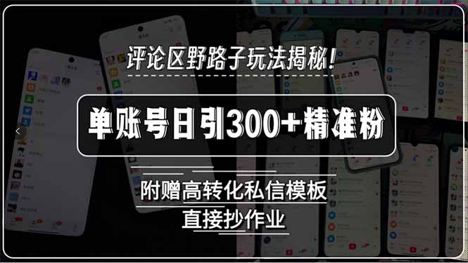 （15466期）评论区野路子玩法揭秘！单账号日引300+精准粉，附赠高转化私信模板，直…-创安网_汇聚全网热门项目资源