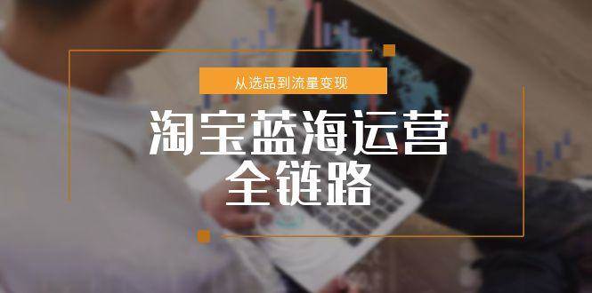 淘宝蓝海运营全链路，从选品到流量变现，小类目突围完整方案-创安网_汇聚全网热门项目资源