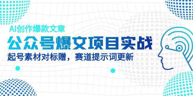 公众号爆文项目实战，AI创作爆款文章，起号素材对标赠（附赛道AI提示词）-创安网_汇聚全网热门项目资源
