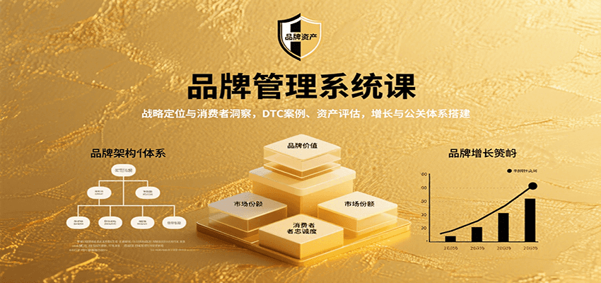 品牌管理系统课：战略定位与消费者洞察，DTC案例、资产评估，增长与公关体系搭建-创安网_汇聚全网热门项目资源