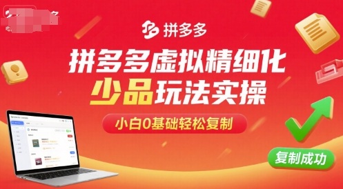 拼多多虚拟精细化少品玩法实操，小白0基础轻松复制-创安网_汇聚全网热门项目资源