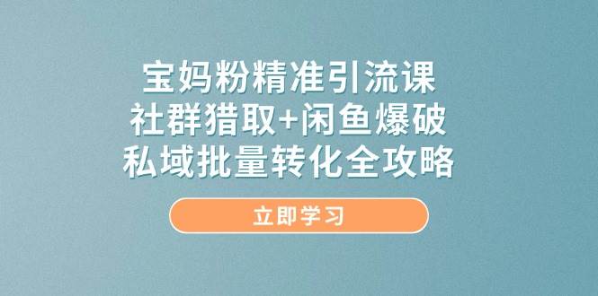 宝妈粉精准引流课，社群猎取+闲鱼爆破，私域批量转化全攻略-创安网_汇聚全网热门项目资源