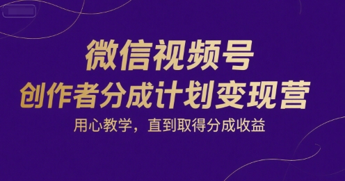 微信视频号创作者分成计划变现营，用心教学，直到取得分成收益-创安网_汇聚全网热门项目资源