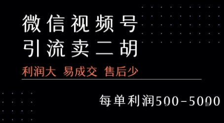 视频号卖二胡教程，利润大 易成交 售后少，一单利润5张+-创安网_汇聚全网热门项目资源