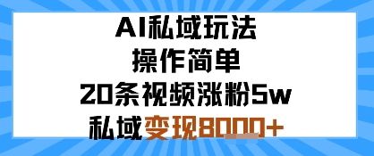 AI私域玩法，操作简单，20条视频涨粉5w，私域变现8k+-创安网_汇聚全网热门项目资源