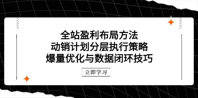 全站盈利布局方法：动销计划分层执行策略，爆量优化与数据闭环技巧-创安网_汇聚全网热门项目资源