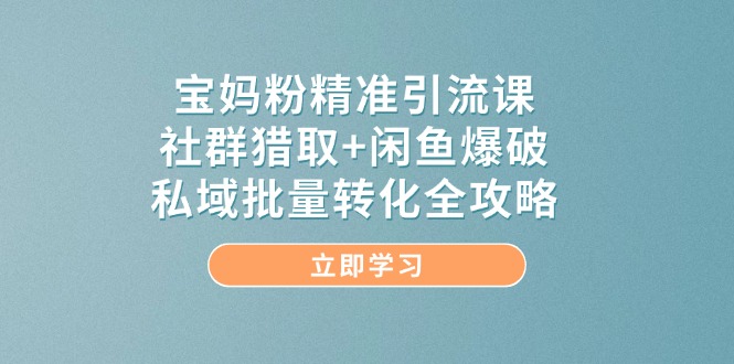 （14820期）宝妈粉精准引流课，社群猎取+闲鱼爆破，私域批量转化全攻略-创安网_汇聚全网热门项目资源