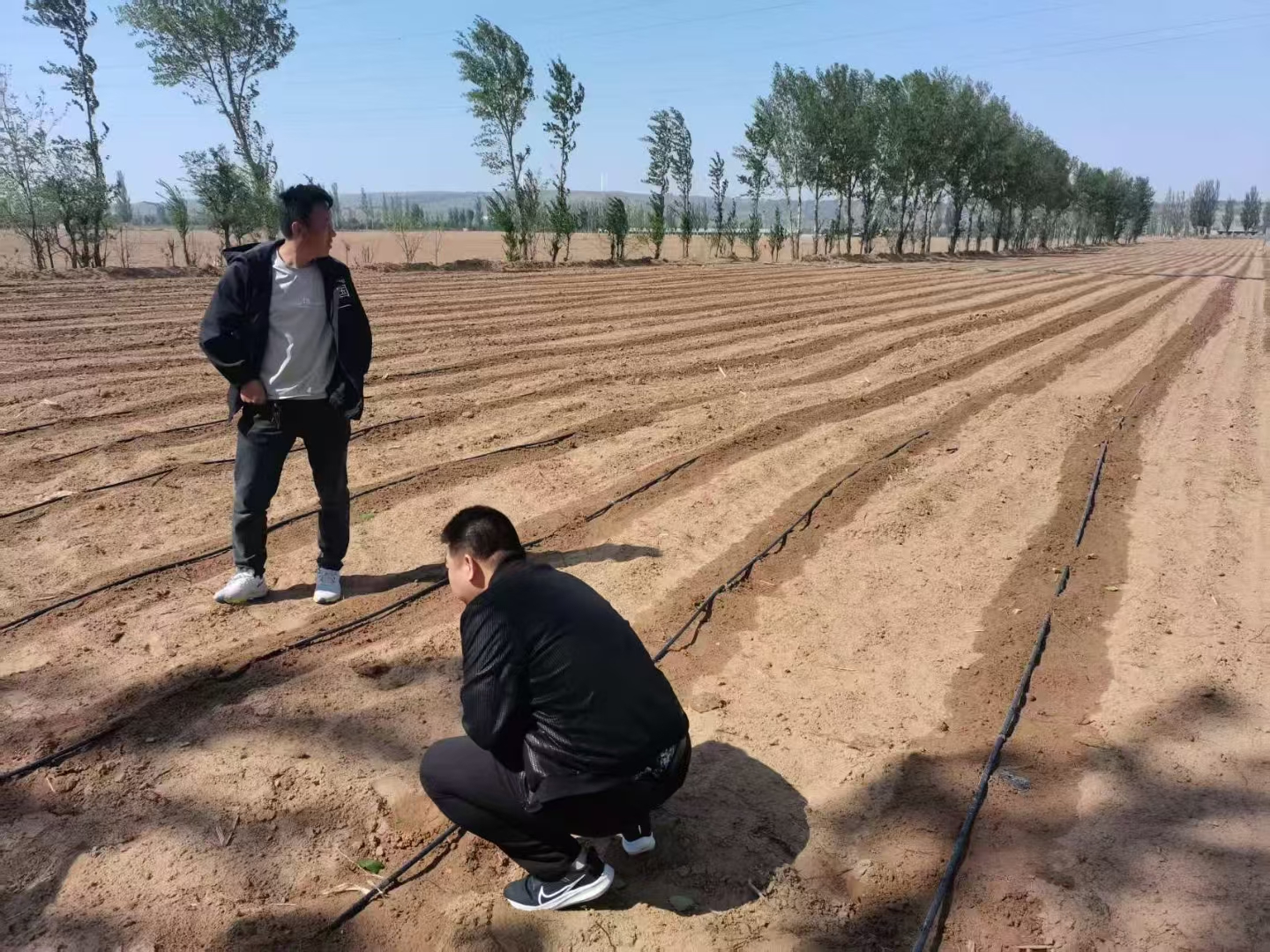 以节水灌溉设备为创业项目，梁玉章扎根乡土用科技兴农，今年销售额已破1500万元