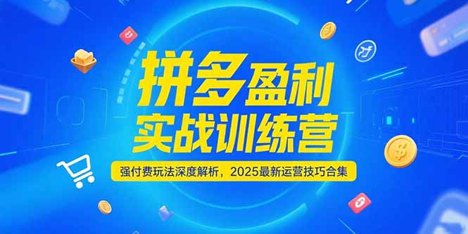 （15183期）拼多多盈利实战训练营，强付费玩法深度解析，2025运营技巧合集-更新6月-创安网_汇聚全网热门项目资源