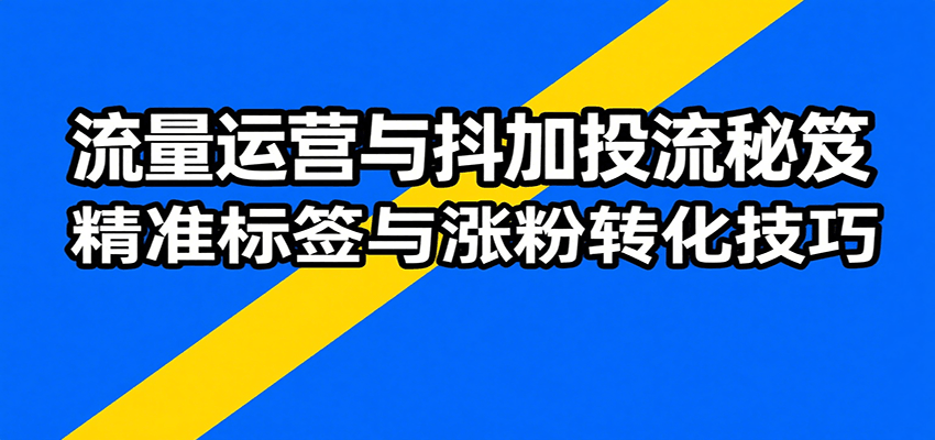 流量运营与抖加投流秘笈，含算法解析、爆款打造、精准标签与涨粉转化技巧-创安网_汇聚全网热门项目资源
