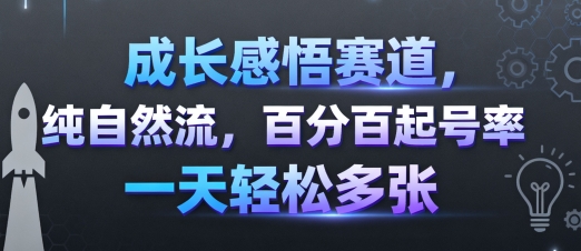 成长感悟赛道，纯自然流，百分百起号率 一天轻松多张-创安网_汇聚全网热门项目资源