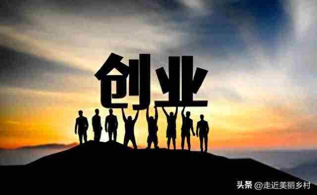 农村创业选对项目，半年回本，这几个“冷门”项目你别错过