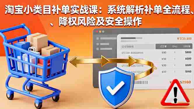 （16239期）淘宝小类目补单实战课：系统解析补单全流程、降权风险及安全操作