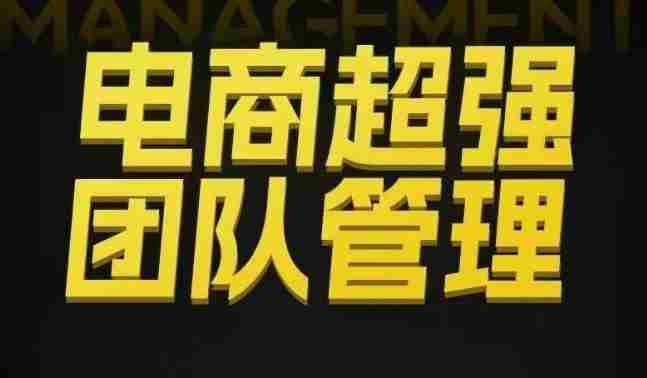 电商超强团队管理，组织绩效，到用人执行，分权合伙