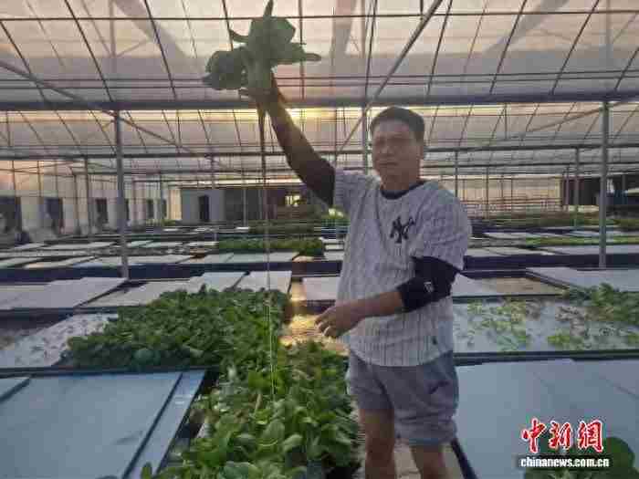 台胞登陆创业“三级跳”：从“大脸鸡排”开始不断求变