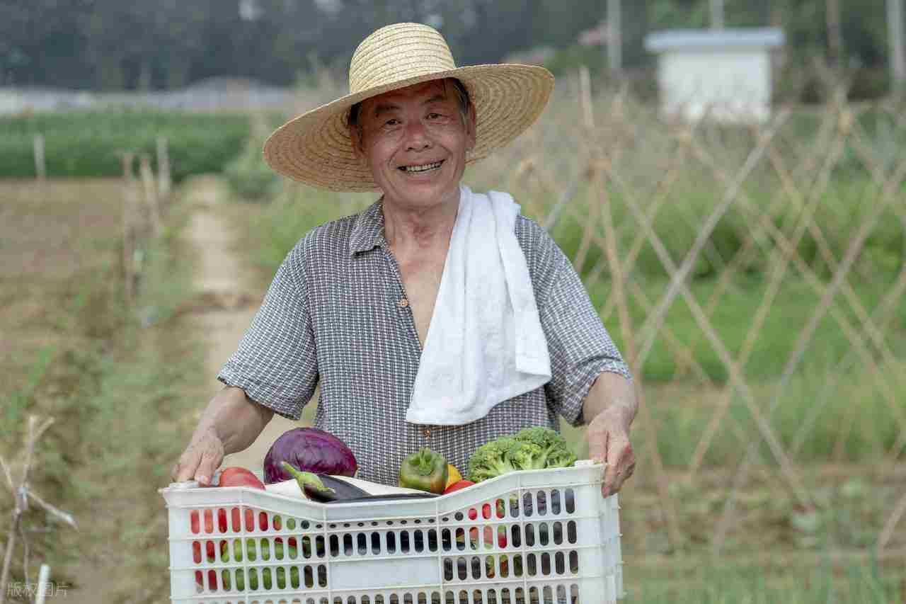 2025 年值得尝试的创业好项目