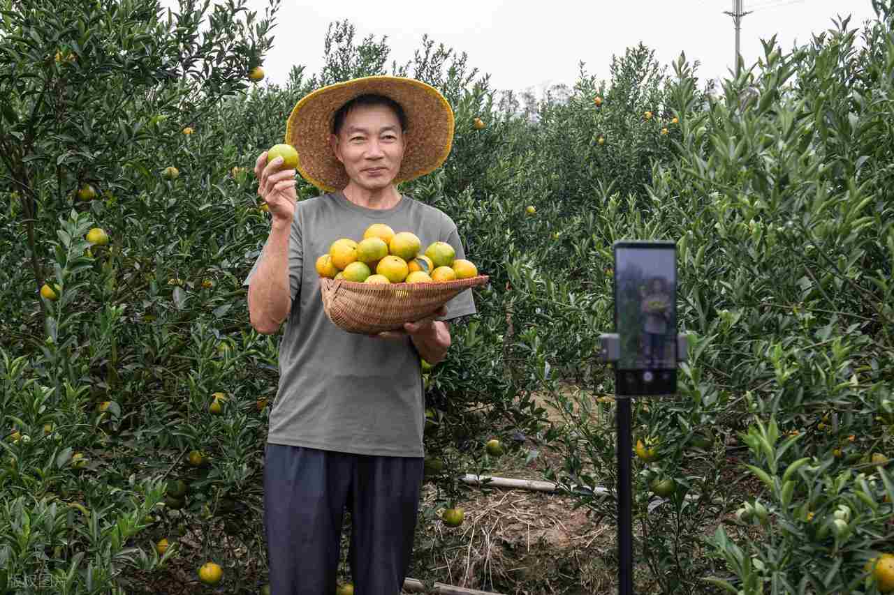 普通人的创业小项目指南