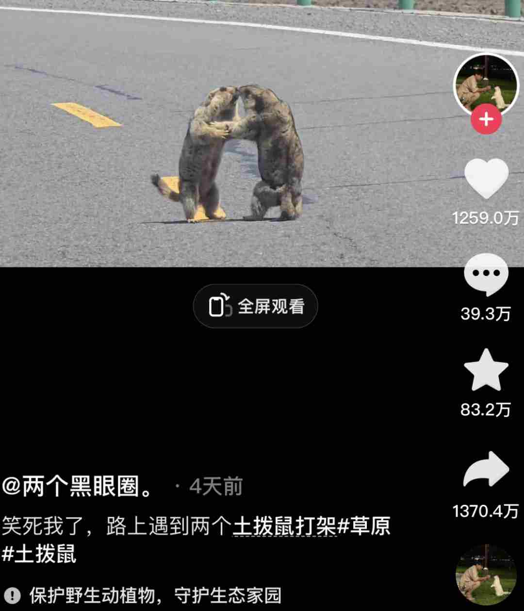 2025年，一个人做就能赚钱的12种副业创业项目!【附超详细指南】