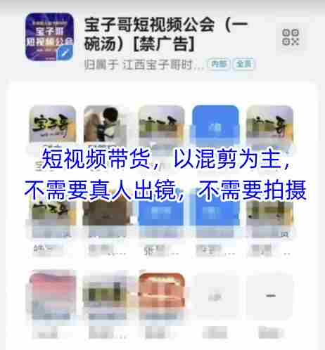 宝子哥头部团队短视频带货，以混剪为主，不需要真人出镜，不需要拍摄【更新9月】