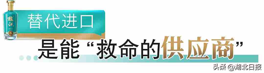 从追光者到领航者 他说：创业要有革命的浪漫主义精神