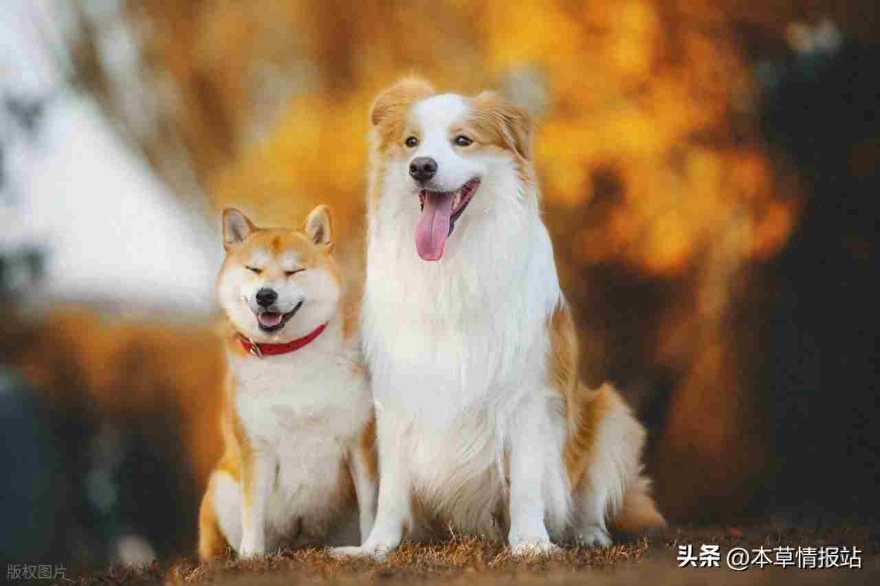 小成本大回报！2025年适合5万投资的创业项目全攻略