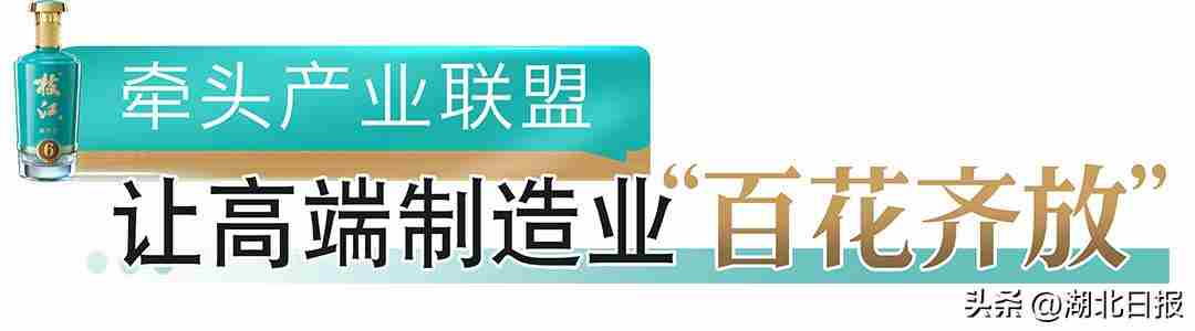 从追光者到领航者 他说：创业要有革命的浪漫主义精神