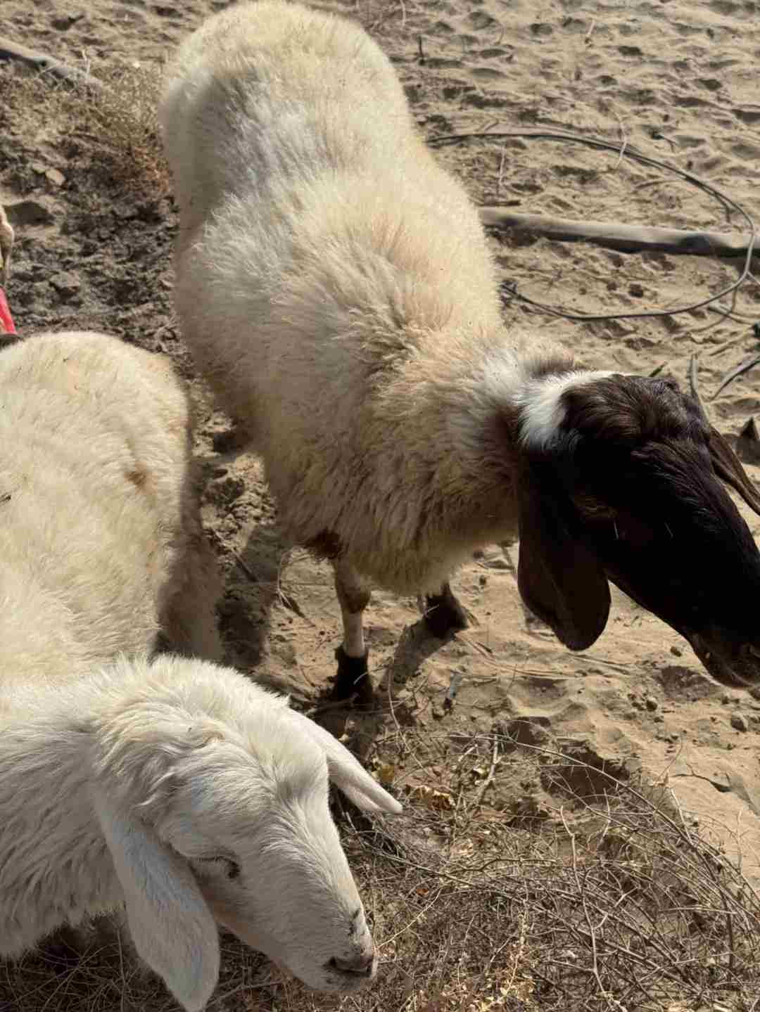 创业不等于开公司~
